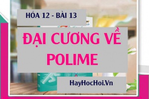 Tính chất hóa học của Polime, Cách điều chế và Ứng dụng của Polime - Hóa 12 bài 13